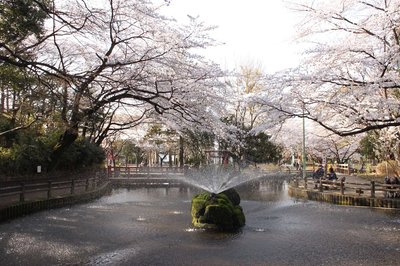 🌹 요노 공원 (Yono Park)